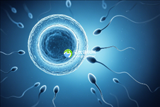 合肥市首屈一指助孕机构,揭秘成功率前三甲榜单!