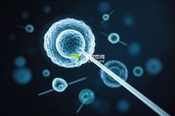 杭州助孕服务:助您圆梦之旅,让美好未来触手可及