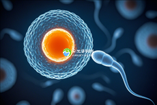 武汉助孕机构排行榜:湖北地区权威机构揭秘盘点!