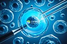 陕西助孕优选之地：揭秘三大权威助孕中心及试管助孕全攻略