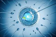 宁波助孕服务行业龙头，揭秘成功率前三甲实力榜单