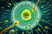 2025上海正规可靠助孕机构名录