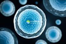 2025年厦门市助孕机构排行榜更新(厦门优质助孕公司推荐)