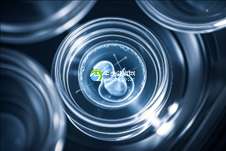 广东试管婴儿私立机构挑选攻略，揭秘优质选择秘诀！