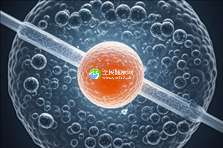 2025温州地区助孕生子机构权威排名前十榜单揭晓