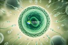 长沙知名私立试管婴儿医院成功率真的那么高吗？揭秘高成功率背后的秘密！