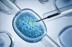 江苏省权威助孕机构深度解析：三大知名公司详解及试管婴儿助孕全过程揭秘