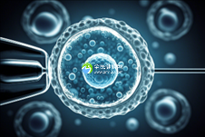 哈尔滨助孕机构前十名(哈尔滨正规助孕公司榜单一览)