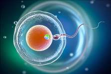 武汉比较靠谱的助孕机构是哪些，武汉正规助孕机构名单一览