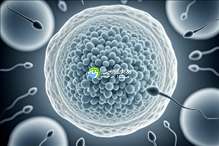 成都最大助孕机构盘点,附助孕费用详细清单