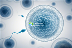 重庆试管婴儿助孕领域可靠机构TOP10,先成功,后付款