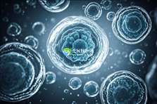 2025沈阳值得信赖的助孕公司有哪些？十大助孕机构推荐