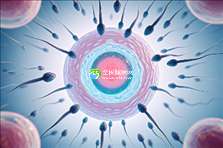 昆明市三大助孕机构榜单前十，昆明优质助孕机构