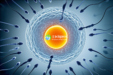 2025年郑州地区助孕机构前十强名单揭晓,费用和成功率全解析