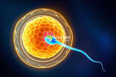 2025年河南最权威三代试管婴儿助孕机构排行榜前十揭晓