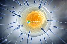 2025年成都专业助孕机构名单及服务项目一览表