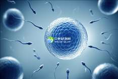 兰州助孕中心哪家值得信赖？揭秘好孕攻略！