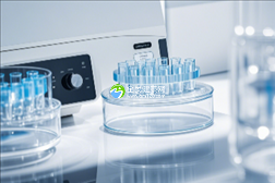 2025年青岛生殖助孕机构权威排行榜,精选优质医院攻略必览!