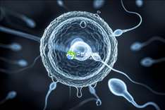 浙江三代试管婴儿费用揭秘：传承生殖喜报频传，成功率惊人！