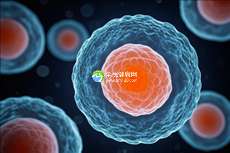 杭州试管婴儿私立医院，专家在线咨询，为你解答疑惑