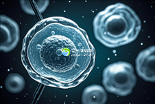 温州试管婴儿助孕技术哪家强?第三代试管婴儿领先机构推荐!