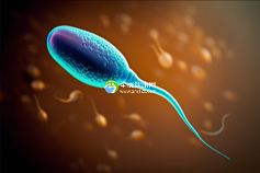 合肥助孕公司联系电话一览,合肥助孕机构联系方式大全