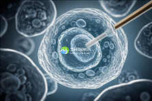 合肥助孕机构靠谱大盘点:揭秘五家正规权威机构,助孕之路选对才是关键!