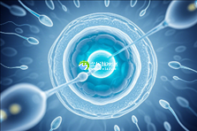 2025厦门助孕机构全览:揭秘5大机构3大医院名录