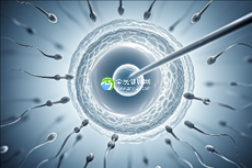 2025年南京寻私人助孕机构,哪家更可信?