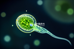 深圳优质助孕机构盘点:揭秘5大口碑爆棚的选择!