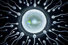 江苏南京试管私立机构：预约流程轻松便捷