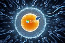 太原助孕服务联系方式一览，揭秘前三甲机构名录