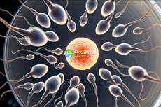 2025天津三代试管生育费用一览，精准价目详情全解析！