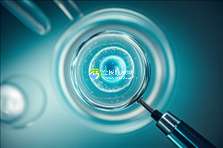 2025年广东助孕机构权威排行发布，揭秘正规助孕公司哪家强？