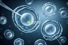 2025年中国助孕行业领军企业排名一览