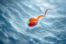 无锡助孕首选：哪家试管婴儿技术更卓越？