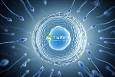 广州试管婴儿助孕专家团：追求卓越，专业精湛