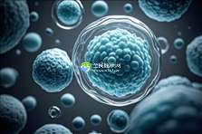 2025年苏州三代试管医院排名公开，附苏州市试管婴儿医院明细