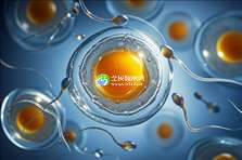 烟台专业助孕机构大盘点，正规助孕服务任你选