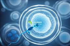 江西助孕专家团队（江西领先助孕服务品牌）