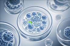 苏州专业助孕机构推荐，收费标准透明公示！