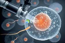 2025年国内权威助孕机构排行榜：揭秘十大正规助孕公司名录