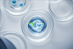 2025中国十大助孕机构排名出炉，最新名单震撼发布