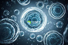 2024年山东省权威助孕机构排行榜：十大正规助孕公司名单揭晓