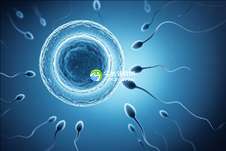 中国十大助孕机构排名出炉，这些专业机构稳居前列