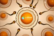 全国助孕机构排行：揭秘前十强企业名录