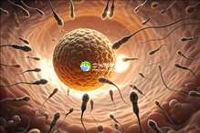 江苏助孕机构排行榜：揭秘10大权威试管助孕中心及费用明细