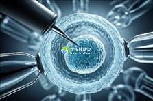 中国正规助孕公司榜单刷新，2025年十大靠谱助孕机构名单公布