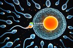 2025年杭州试管婴儿助孕机构权威排行榜揭晓