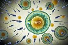 南宁2025年最受欢迎的十大助孕机构盘点，助力您轻松实现生育梦想！